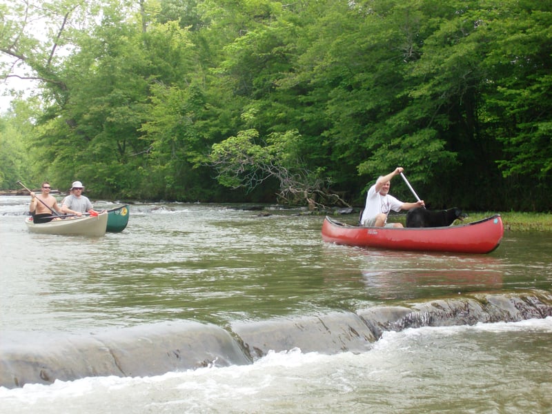 Staunton River - in the Finger Islands