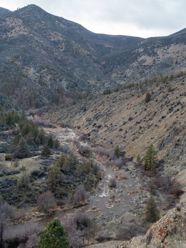 Shasta River at 350 cfs