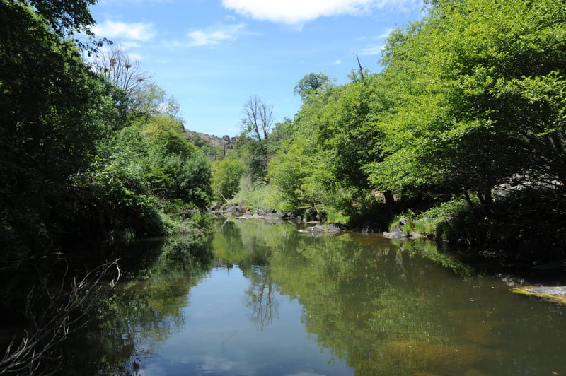 Looking Downstream in Wards Canyon
