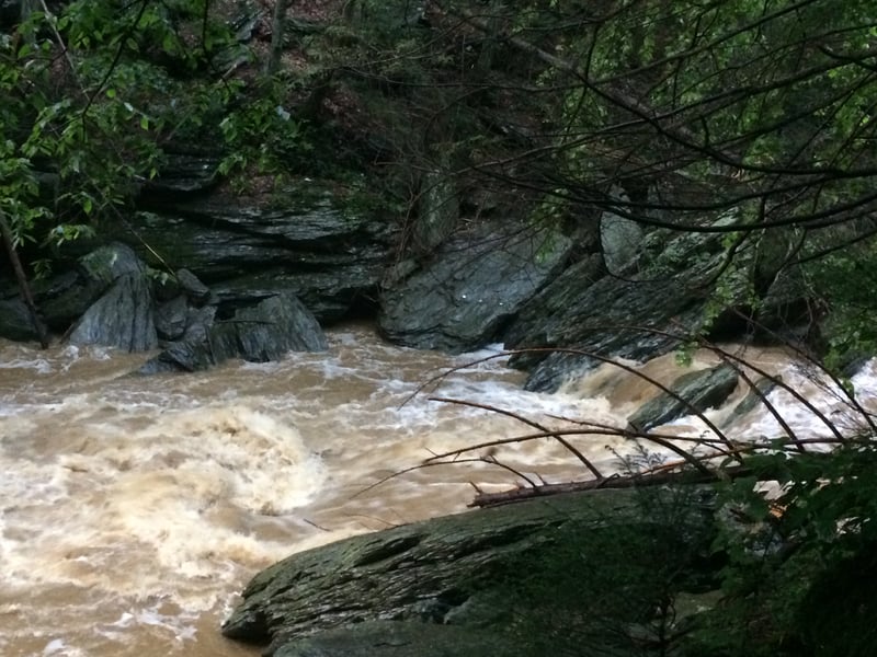 Suzy's Hole ~550 cfs