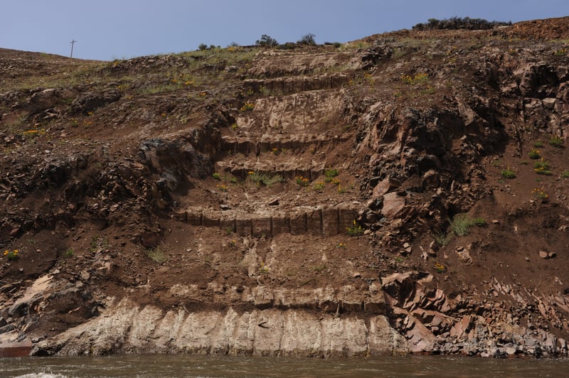 The Roots of Iron Gate Dam