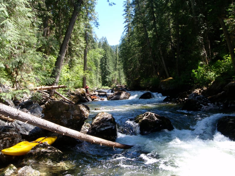 Meadow Creek whitewater in the cedars. 