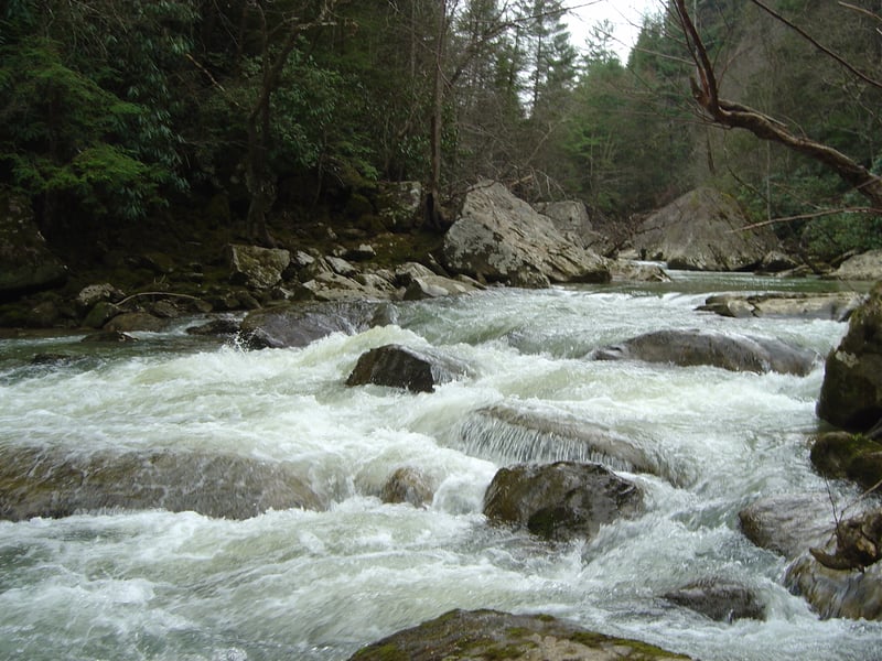 Narrows