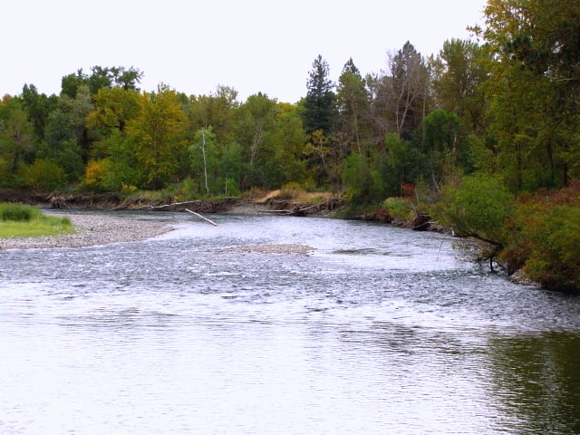 Rapid 3 at 1450 Cfs