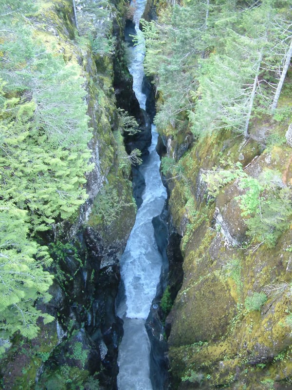 Muddy Fork