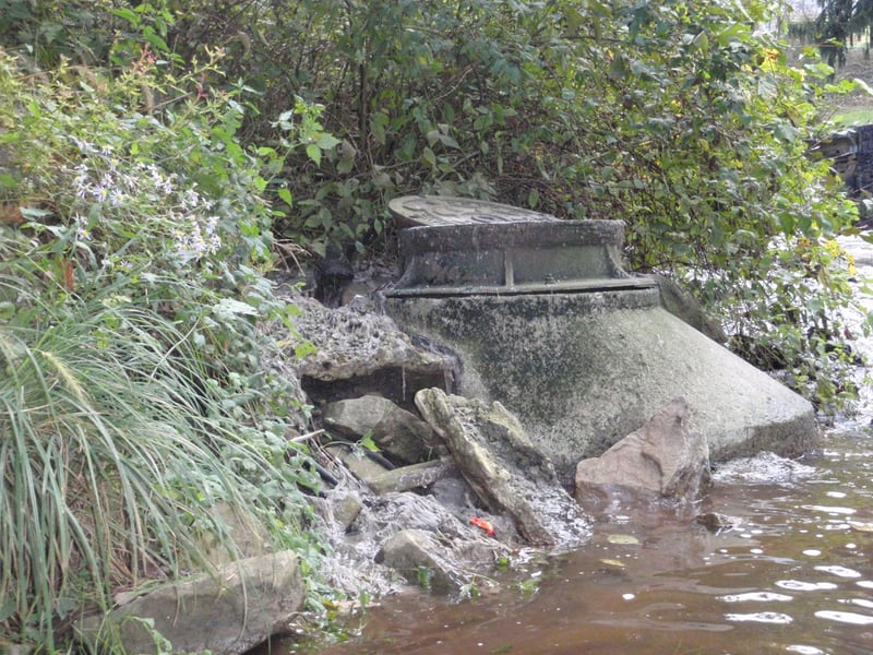 an early insult to water quality