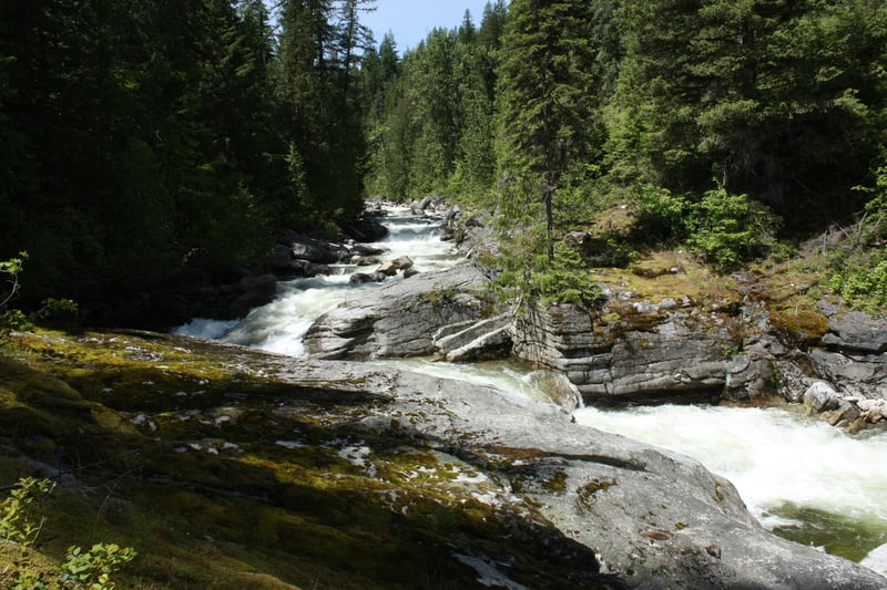 Smith Creek