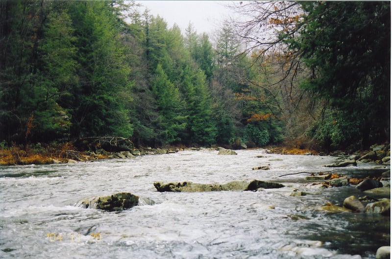 Laurel Hill Creek- Whipkey dam to covered bridge