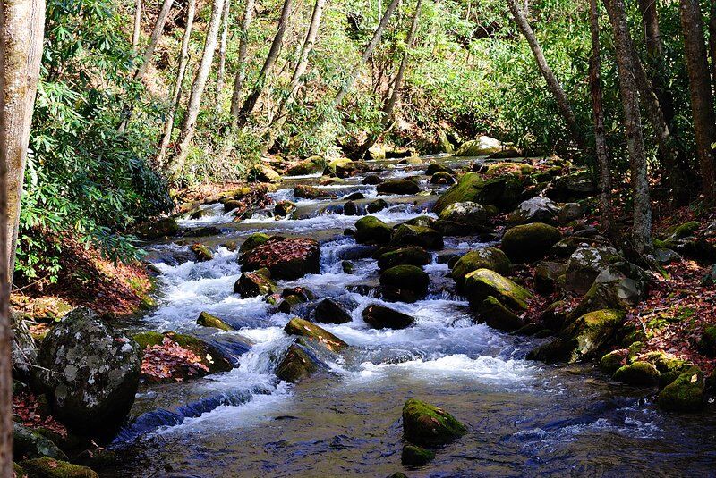  on Eagle Creek @Eagle Creek Trail to Fontana Lake