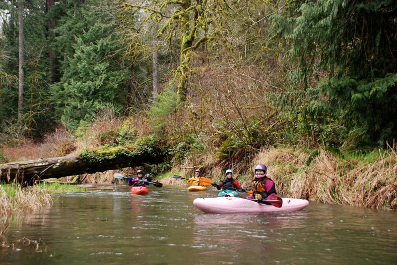 Start of S.F. Alsea