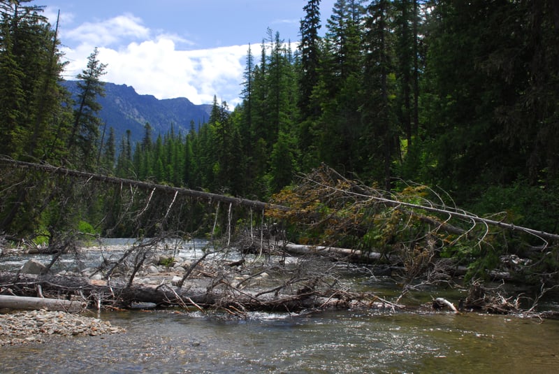 Doctor Creek Slide