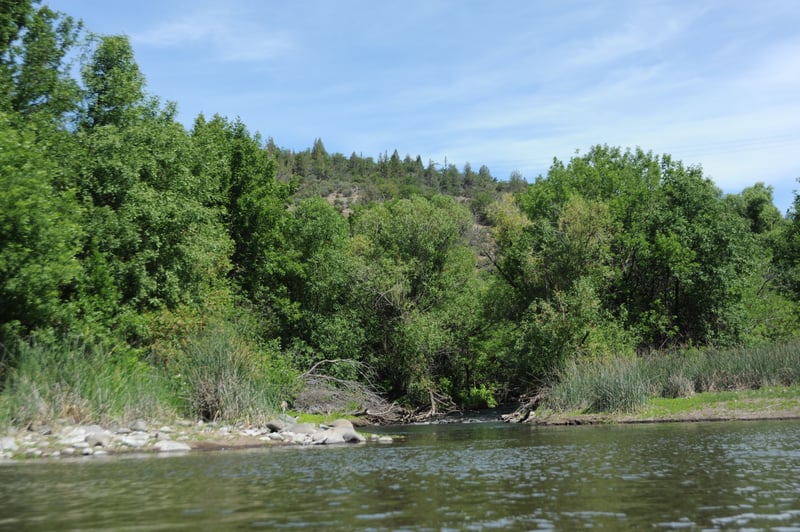 Fall Creek Confluence