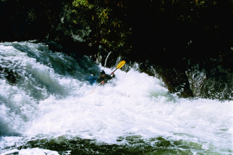 Bottom drop Hunt-Fish