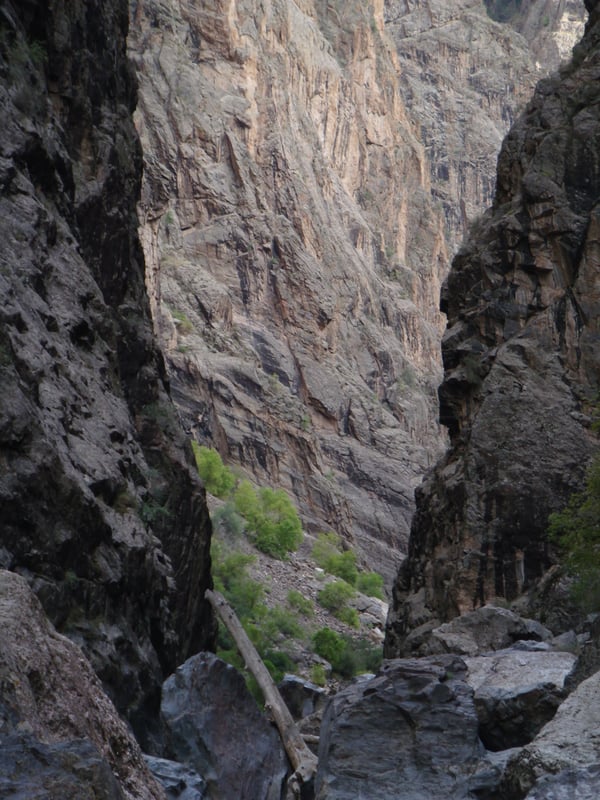 View of Narrows Pinch