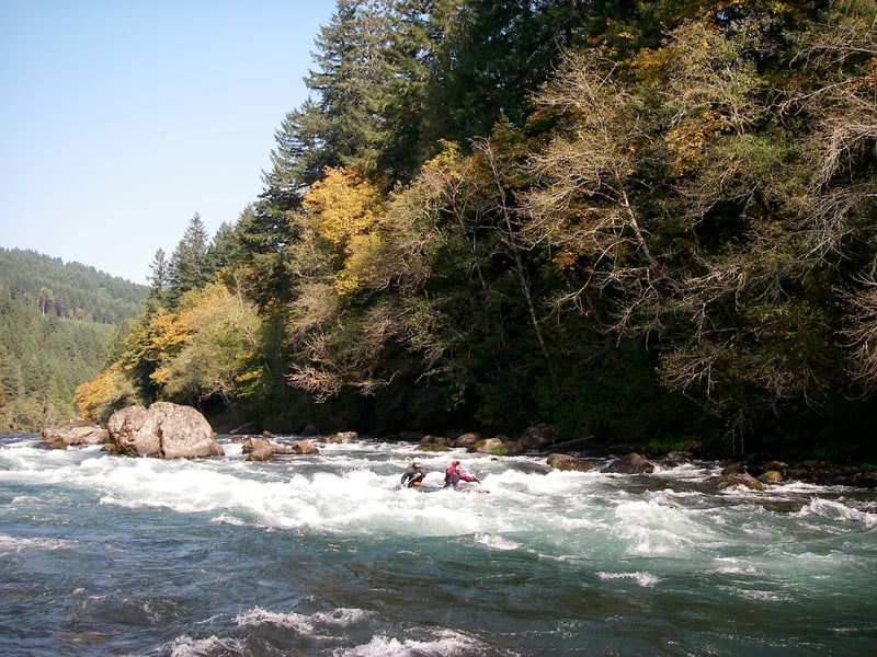C2 through Marten Rapid