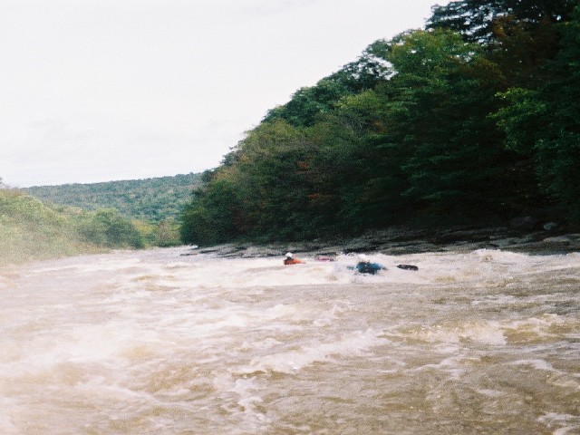 Maytag Rapid