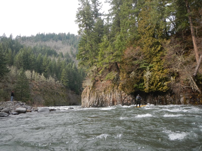 SUP at Confluence Drop