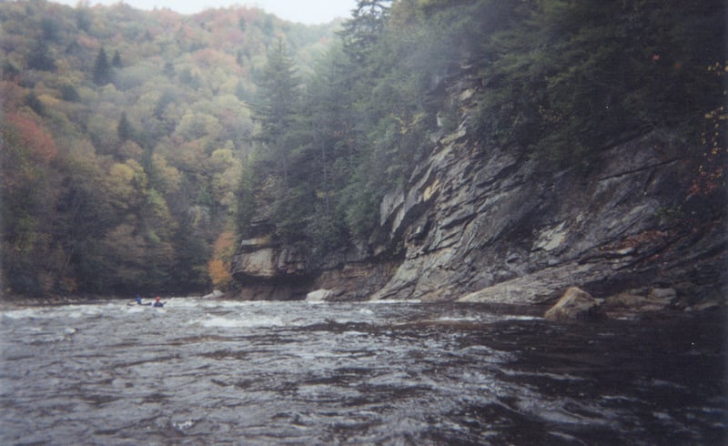 Shavers Fork Scenery