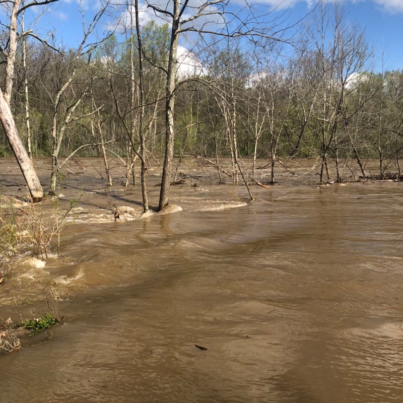 Glen Wilton , James River very High