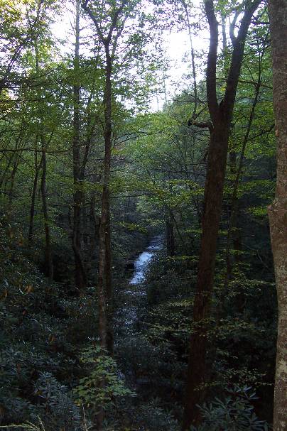 Laurel Run