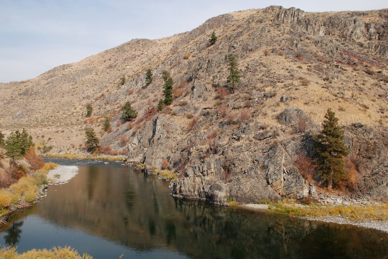 Looking Upstream from Black Canyon