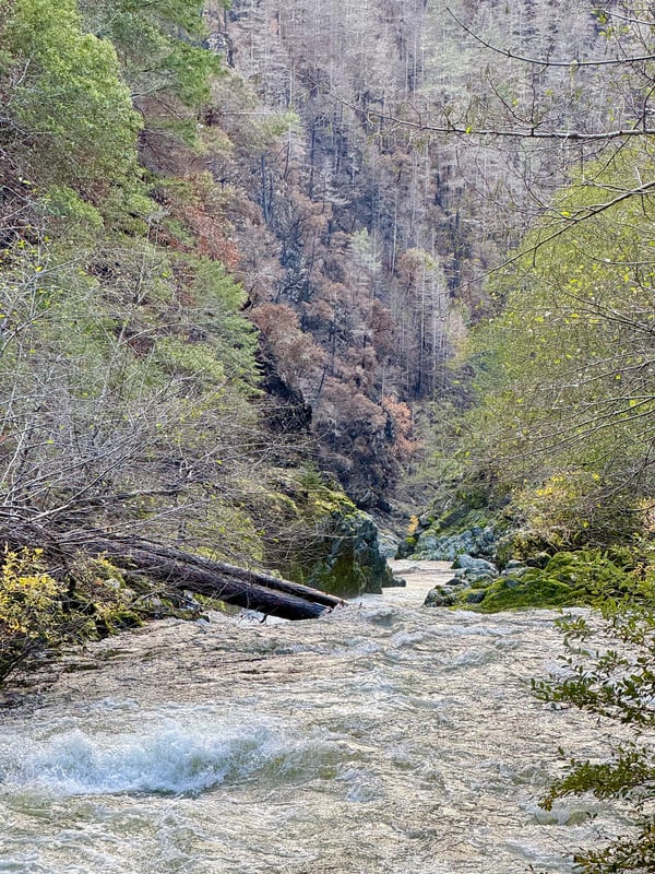 Number One Rapid viewed from Siskiyou Gorge put-in
