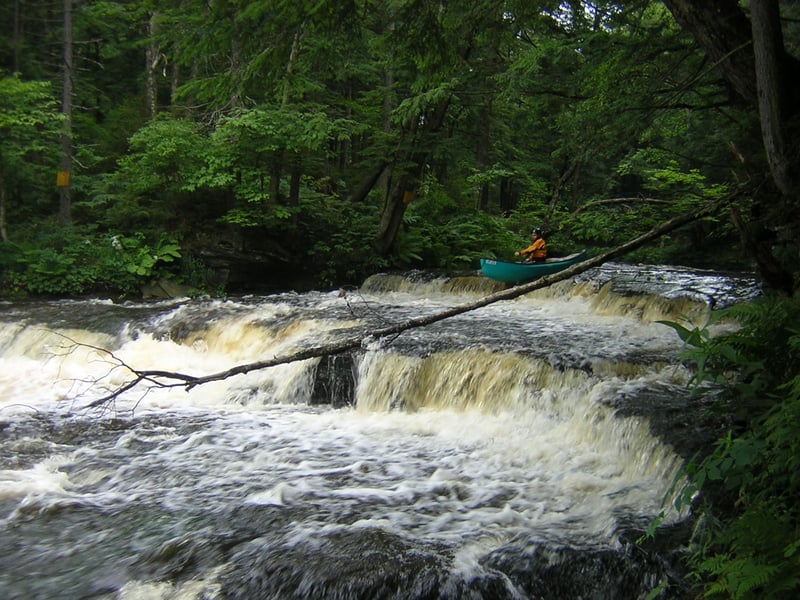 Mad tributary
