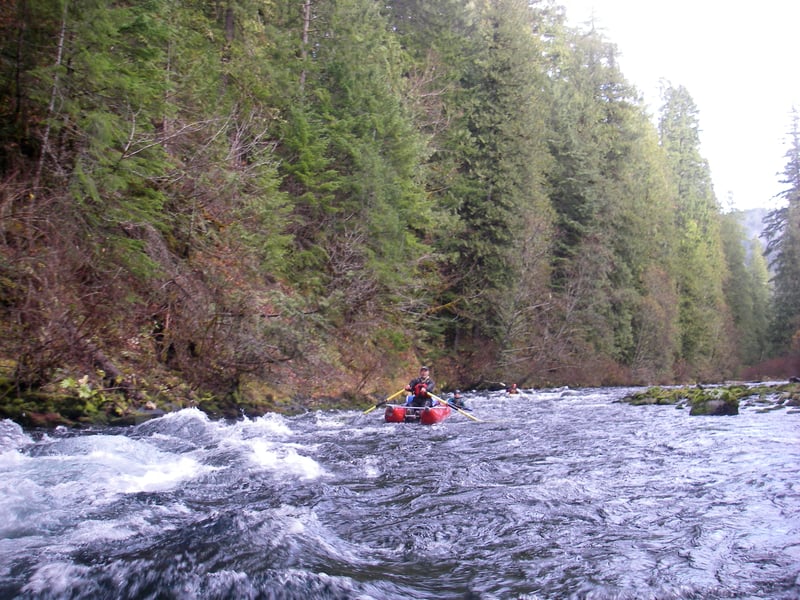 Wild and Scenic McKenzie