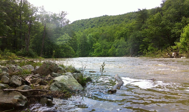 cacapon view