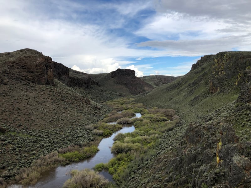 Humboldt River, North Fork @Devil's Gap