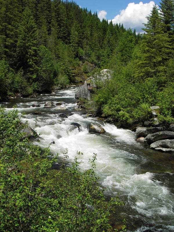 fish creek...