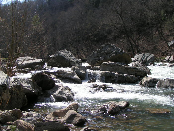 Down in the canyon