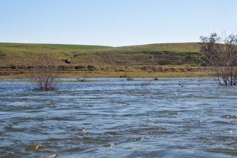 Hills above flood zone