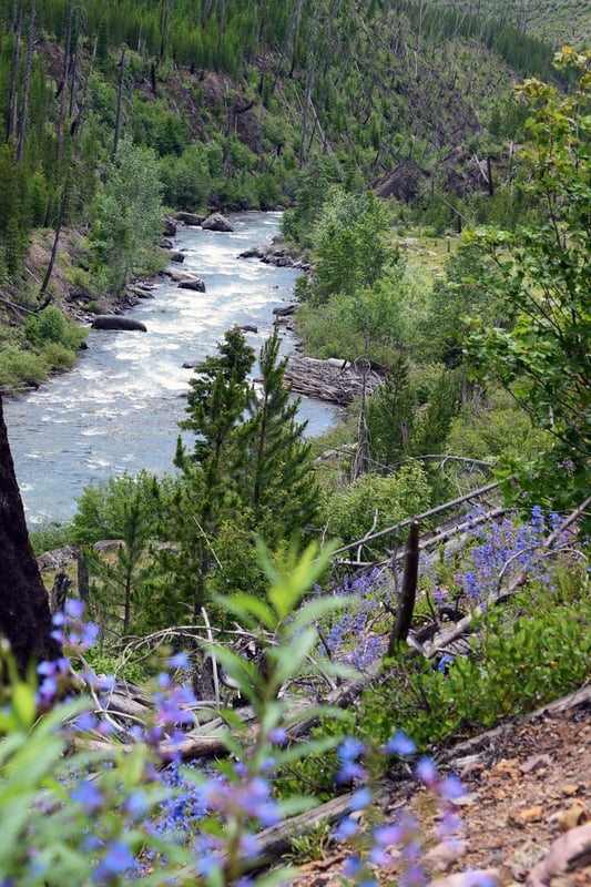 Low Water North Fork
