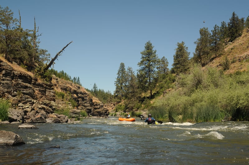 Rapids on the Keno Reach