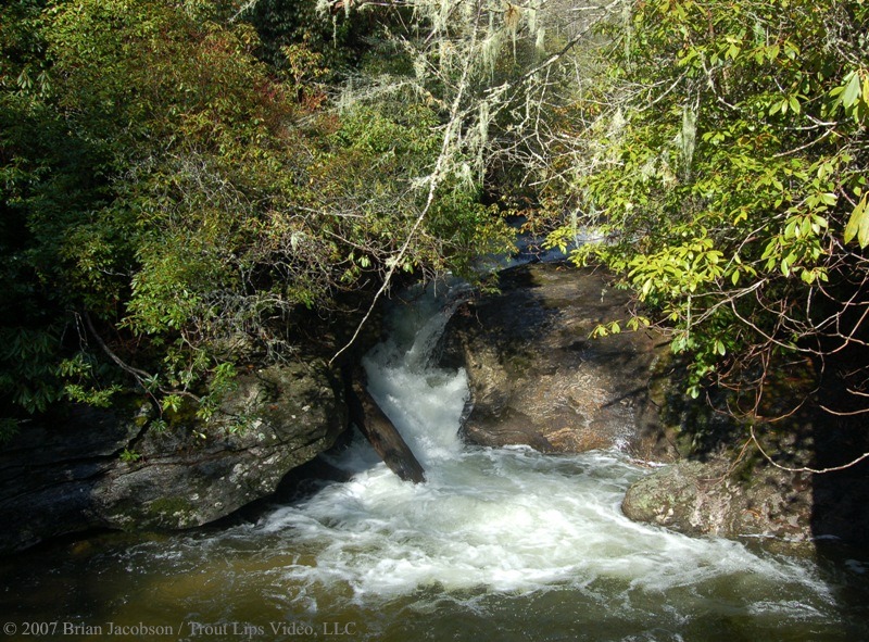 Norton Mill Creek