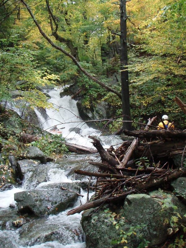 North Fork of the Piney