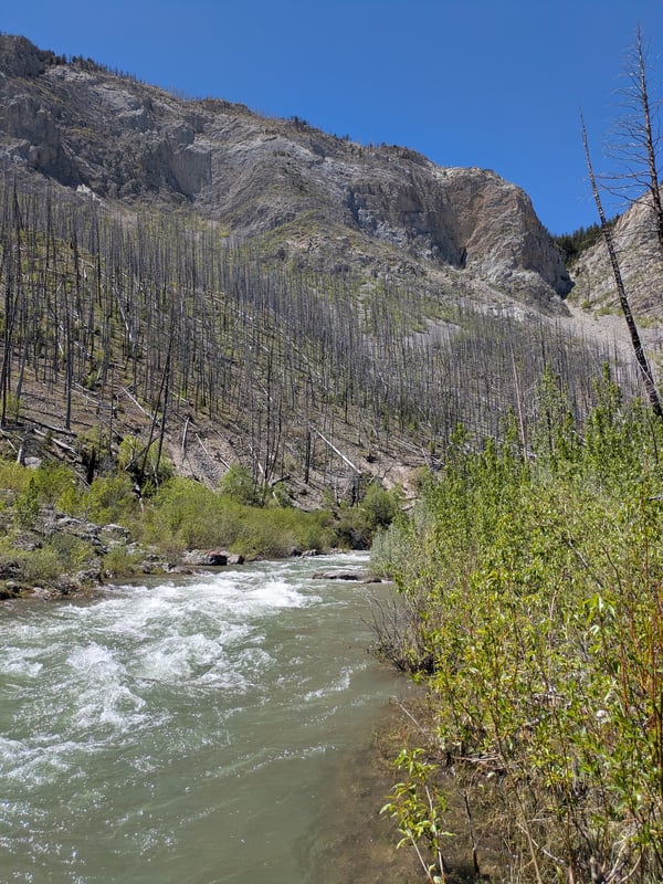 Lower Canyon