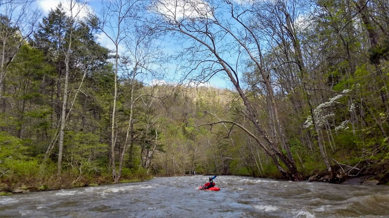 Springtime scenery on the Bluestone