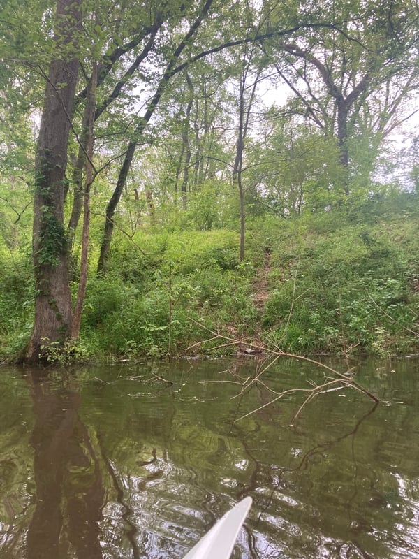 Where I seal launched into a pond right by Buckhorn Dam