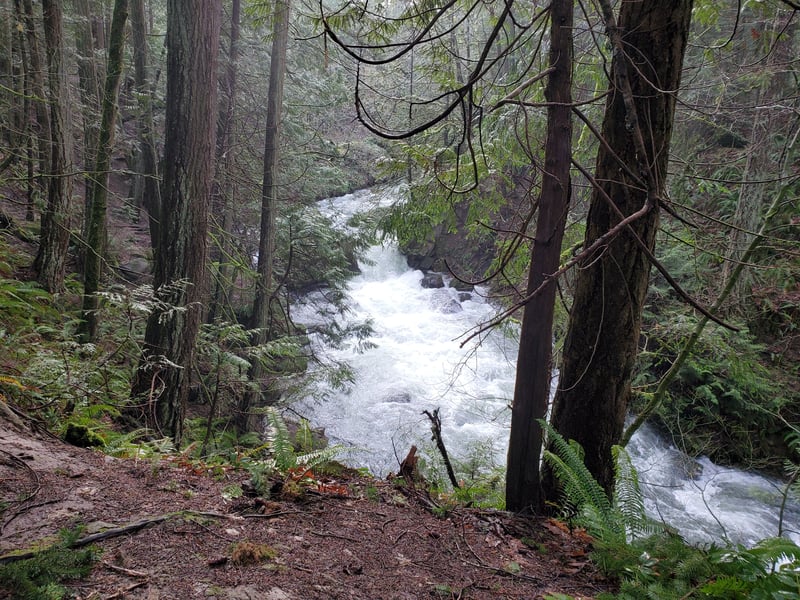 Whatcom Creek @Lake Whatcom to Yew St. Bridge