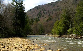 A Beautiful Mountain Stream