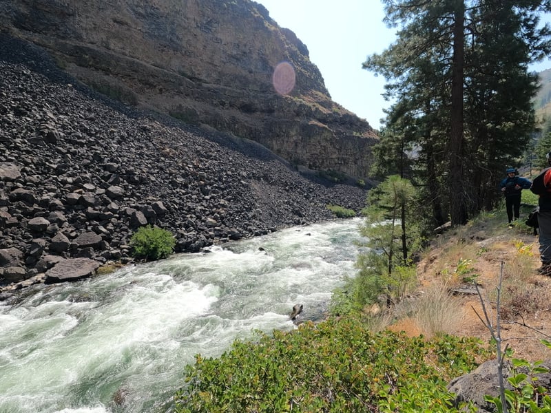Boise, S. Fork @2. Danskin Bridge to Neal Bridge (near Arrowrock Reservoir)