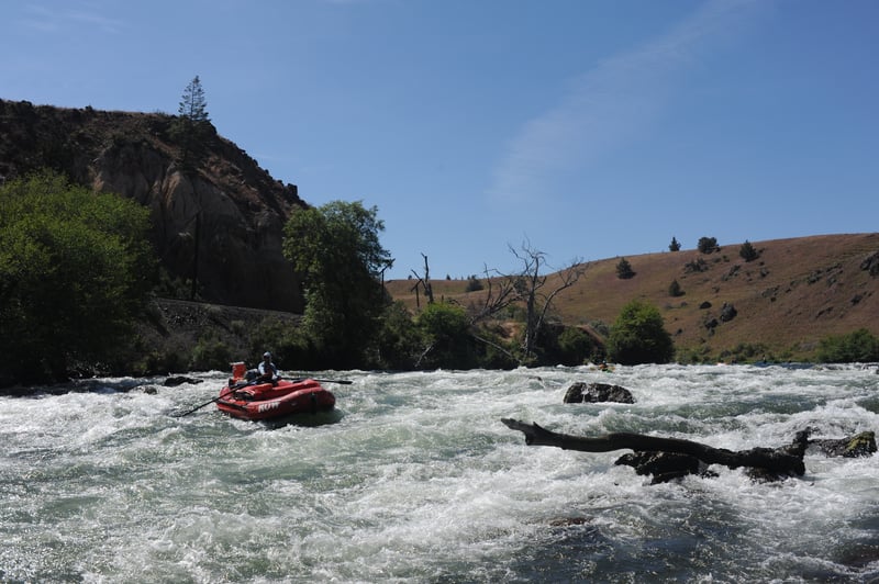 Whitehorse Rapid Upstream View
