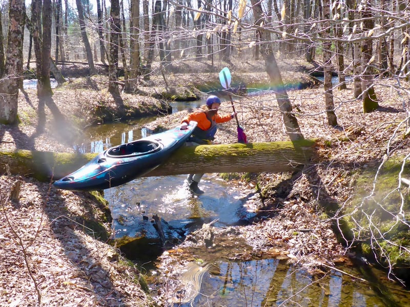 The portage
