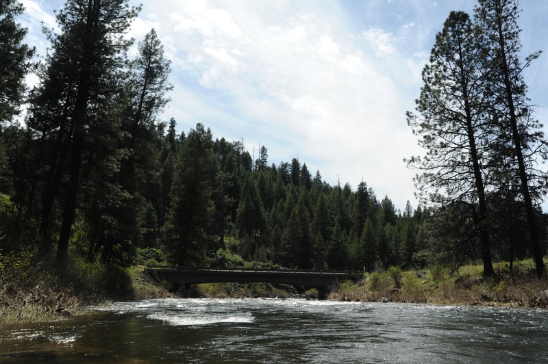 Bridge Access Tollgate Campground