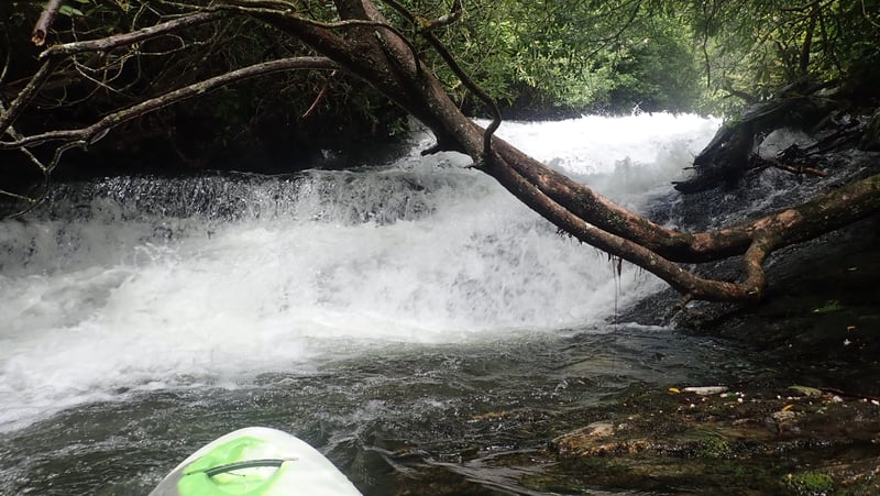 Paddle In on Thompson Creek
