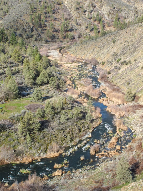 Shasta River