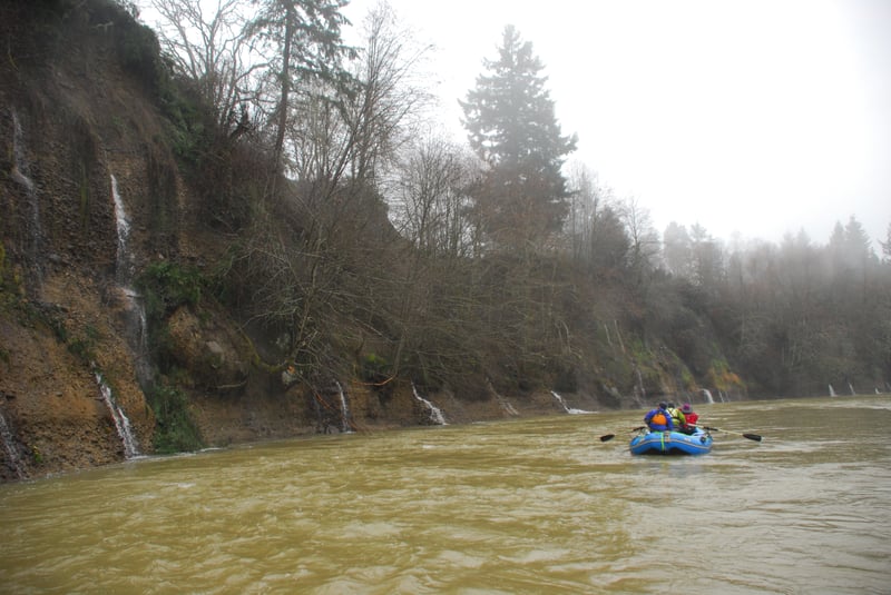 Springs along Nisqually River