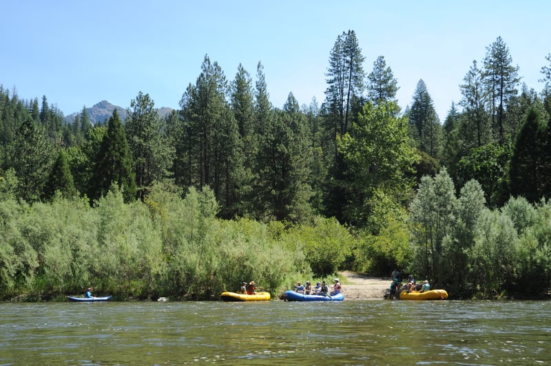 Portuguese Creek Put-in